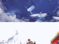 -上海海昌海洋公园