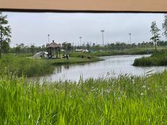 -春花秋色城市公园