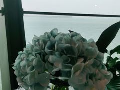 -贝林大翅鲸简餐厅(国家海洋博物馆店)