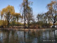 -莲花池公园