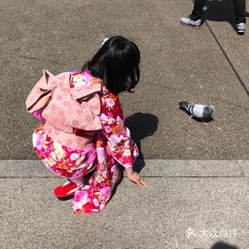 旅行回忆|浪漫的樱花之旅