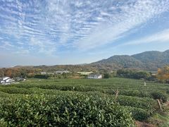 -中国茶叶博物馆(双峰馆区)
