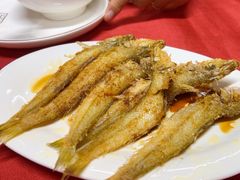 -蛇口康乐快餐鱼仔档(翠苑小区店)