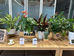 -dōTERRA多特瑞精油生活馆