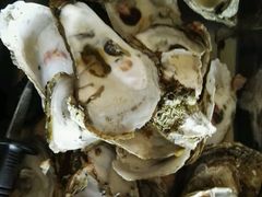 蒸蚝-邹记·美食(斗门店)