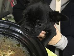 -大叔家福鼎小吃(十全街店)