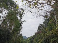 -南海湾森林生态园