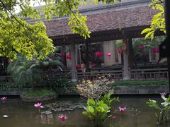 -河内西湖莲花自助餐厅