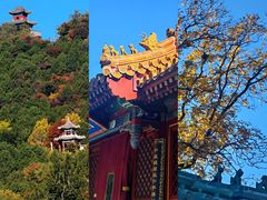 -八大处公园
