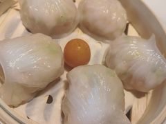 -点都德·毕德寮