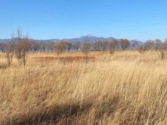 -野鸭湖国家湿地公园