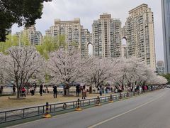 -西北湖绿化广场