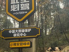 -中国大熊猫保护研究中心雅安碧峰峡基地