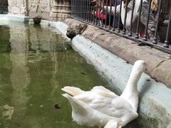 -巴塞罗那主教座堂