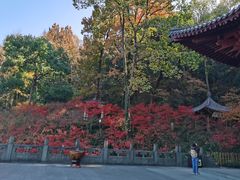 -九曜山