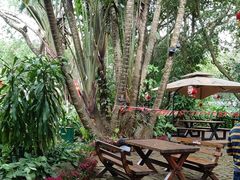 -海南热带野生动植物园