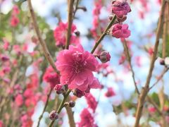 -桃花涧