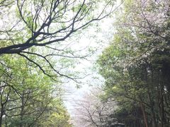 -熙盛源(永乐路店)