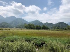 -大九湖