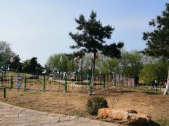 -莫子山公园