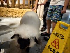 -天河城购物中心