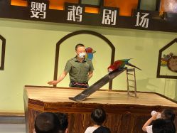 点击看大图 -未来动物城动物主题公园(大悦城店)