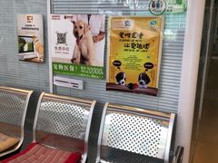 -瑞派·关忠动物医院(国瑞店)