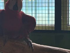 -海合安武汉极地海洋公园