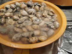 扇贝花蛤-龍歌自助小火锅(崂山丽达店)