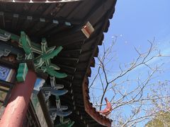 -大连天门山国家森林公园