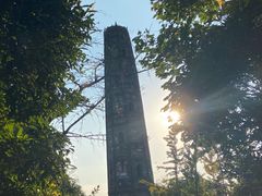 -上海佘山国家森林公园天马山园