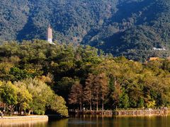 -深圳仙湖植物园