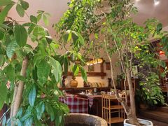 -慢丽江·云南野生菌土鸡锅(付家庄店)