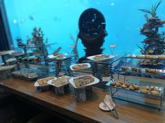 -瑞德姆美人鱼海底演艺主题餐厅(亚龙湾店)