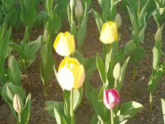 -长春公园(普阳街道)