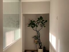 -浅森·龙凤筋SPA·私域调理