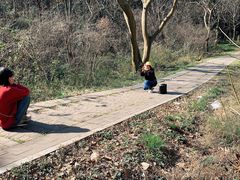 -青龙山国家森林公园