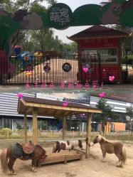 -萌宠亲子动物乐园(槐房万达店)