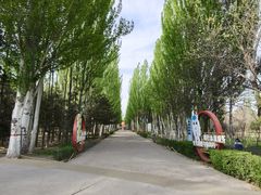 -阿尔丁植物园