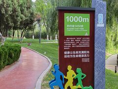 -雁滩公园