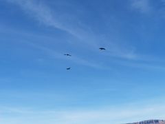 -科罗拉多大峡谷