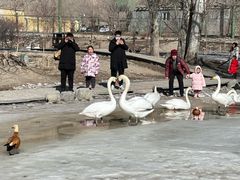 -新疆天山野生动物园