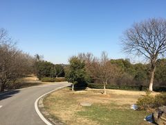 -南京市江宁方山
