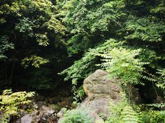 -宁波五龙潭景区