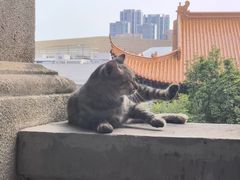 -宝通禅寺