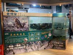 -老傅家湘潭水煮活鱼店(众一国际店)