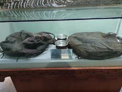 -迪庆藏族自治州博物馆