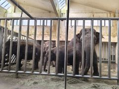 -石家庄市动物园