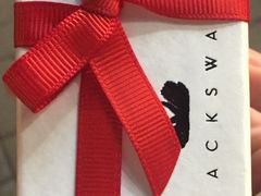 -BLACKSWAN黑天鹅(环球店)