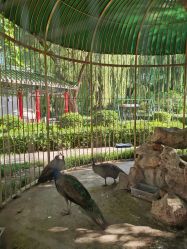 -宝馨月月子中心(友谊医院店)